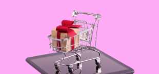 Modüller (Cari, Stok, Üretim, CRM, Fatura)